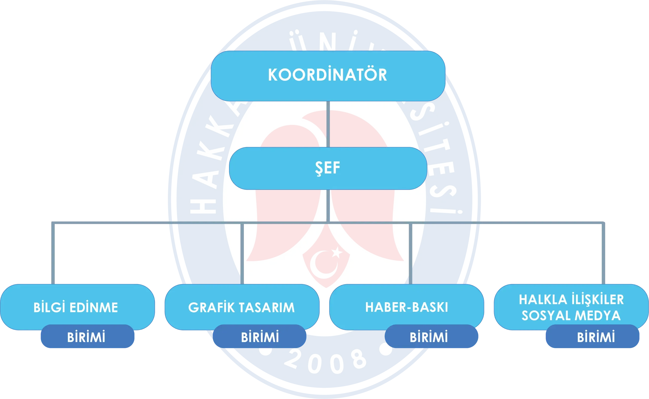 Organizasyon Şeması