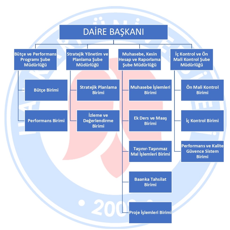 Organizasyon Şeması